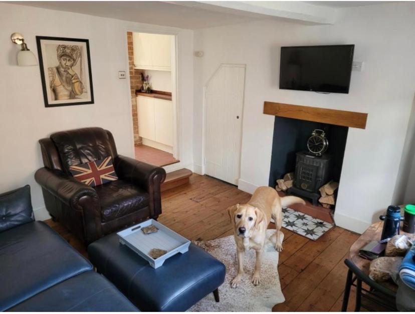 Sweet & Cosy 10 Bridewell Cottage With Parking Available Upon Request Bury St. Edmunds Luaran gambar